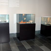 2011 Pergamon-Museum Berlin 0057